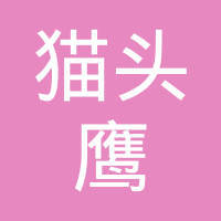 探秘貓頭鷹網絡科技 優勢、業務與市場評價